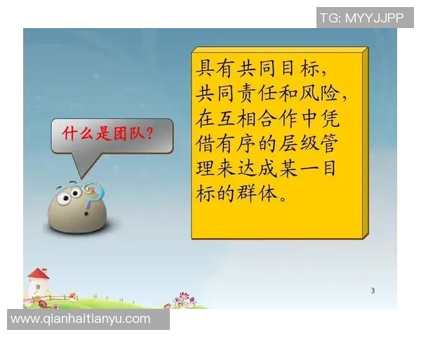 上海乒乓球队的团队协作之道：凝聚力与默契的完美结合